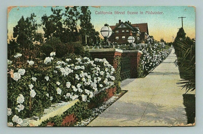 c.1909 Midwinter Street Scene, Elsinore Postal Stamp, California