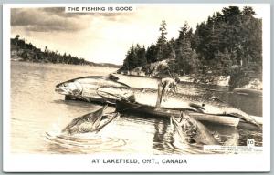 LAKEFIELD ONTARIO CANADA FISHING EXAGGERATED VINTAGE REAL PHOTO POSTCARD RPPC