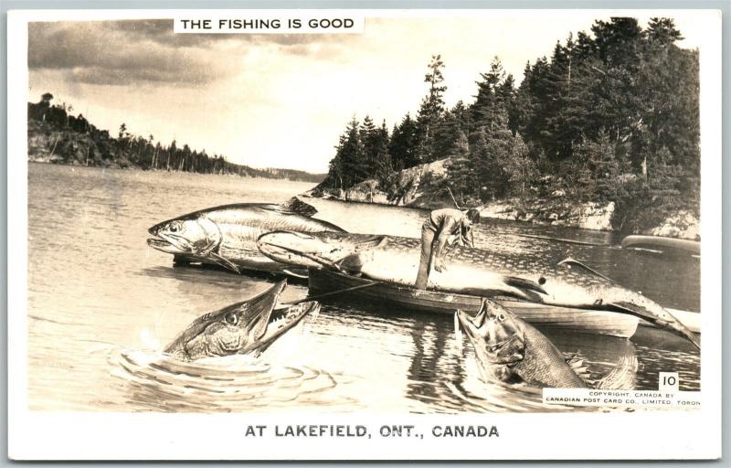 Lakefield Ontario Canada Fishing Exaggerated Vintage Real Photo Postcard  Rppc