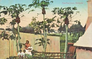 BERMUDA-WOMAN & CHILDREN UNDER PAW PAW TREES~1910 WEISS POSTCARD