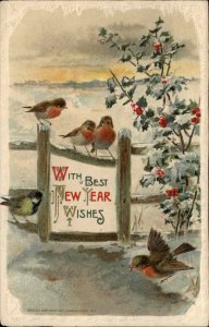 Winsch New Year Song Birds European Robins in Snow c1910 Postcard