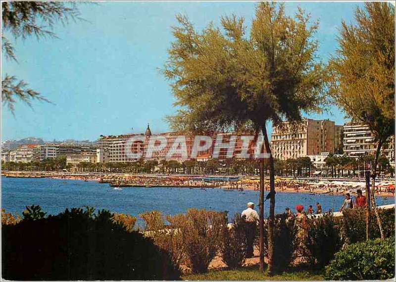 Postcard Modern Part of Cannes Croisette View taken from the gardens of the P...