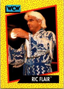 1991 WCW Wrestling Card Ric Flair sk21168