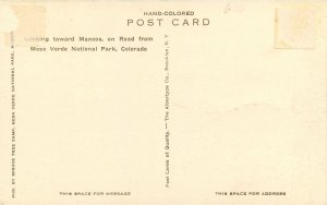 Postcard Colorado Mesa Verde National Park Spruce Albertype hand colored 23-8730