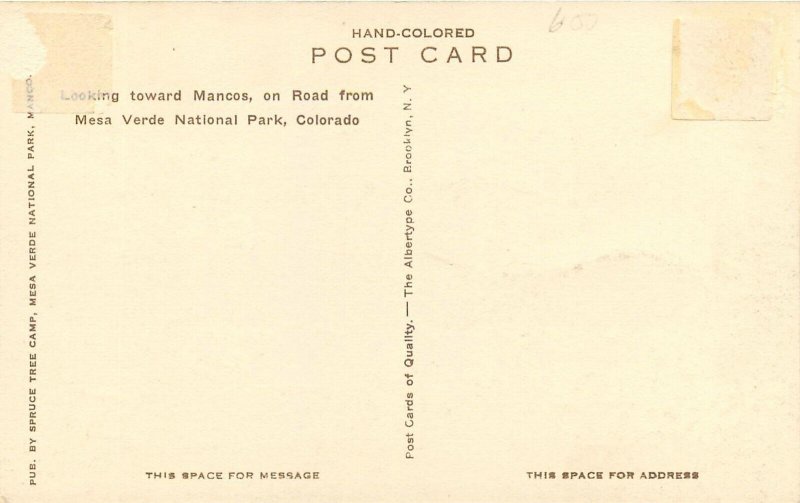 Postcard Colorado Mesa Verde National Park Spruce Albertype hand colored 23-8730
