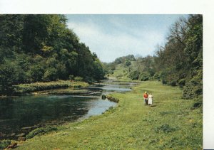 Derbyshire Postcard - Lathkill Dale - Near Bakewell - Ref TZ1528