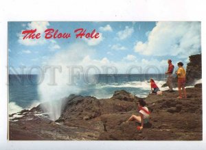 204362 ALOHA from HAWAII Blow Hole old postcard