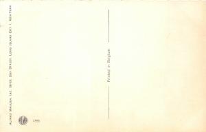 F61/ Alfred Mainzer Dressed Cat Animal Postcard c1940s Hanging Lamp Books 8