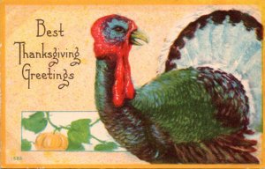 Thanksgiving Greetings With Turkey