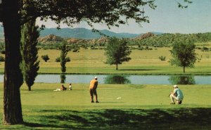 Vintage Postcard Antelope Hills Golf Course City of Prescott's PGA Bent Grass AZ