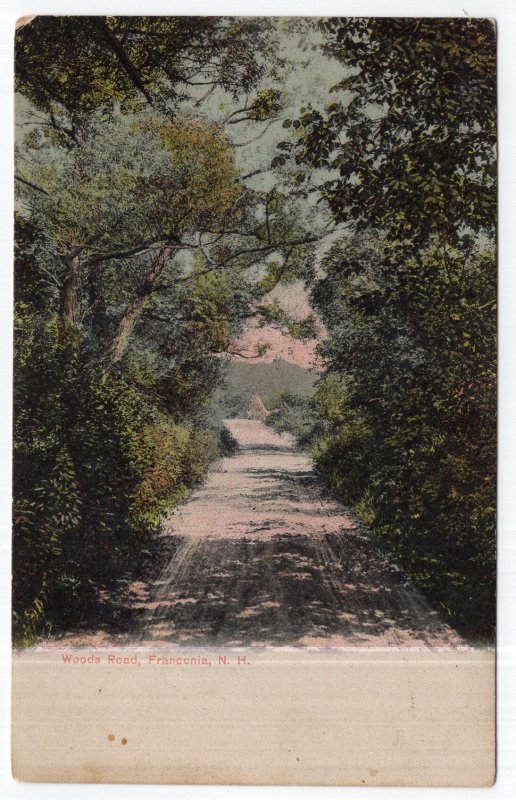 Franconia, N.H., Woods Road