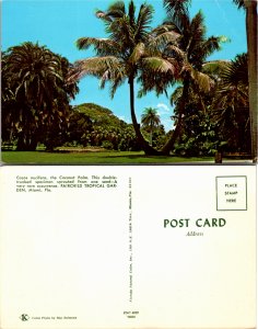 Coconut Palms, Miami, Florida