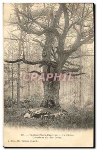 Old Postcard Fontainebleau Barbizon A Chene Carrefour Du Bas Breau Tree