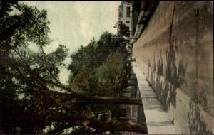 Provincetown Cape Cod MA Commercial St. c1910 Postcard #28