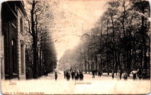 Netherlands Zeist Donkere Laan Vintage Postcard C023