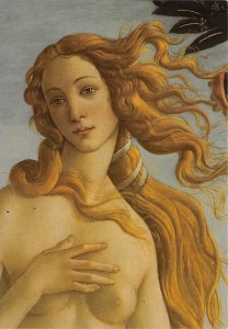 Firenze, Birth Of Venus  