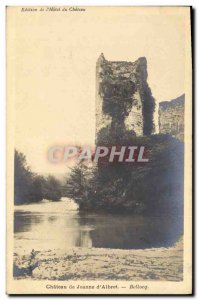 Old Postcard Chateau de Jeanne d'Albret Bellocq