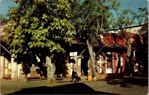 Stage Drivers Retreat Mining Town Columbia Museum Postcard UNP VTG 76 Union 