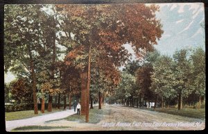 Vintage Postcard 1907 Landis Avenue, from East Avenue, Vineland, New Jersey