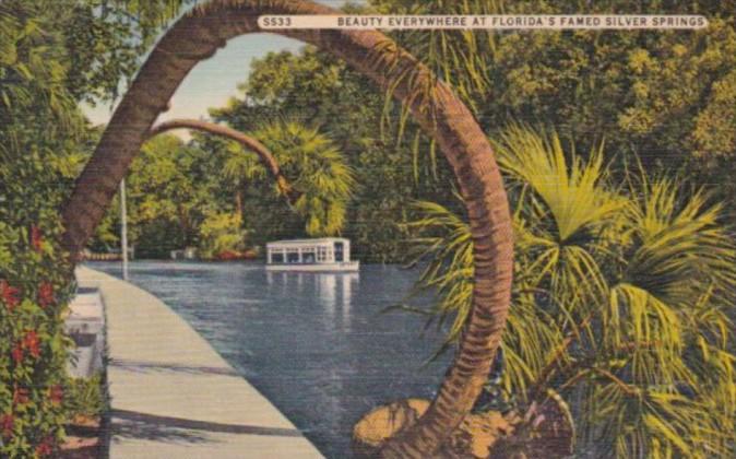 Florida Silver Springs Horseshoe Palm & Glass Bottom Boat