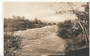 Northumberland Postcard - Bridge and River from Woods - Chollerford   A2923