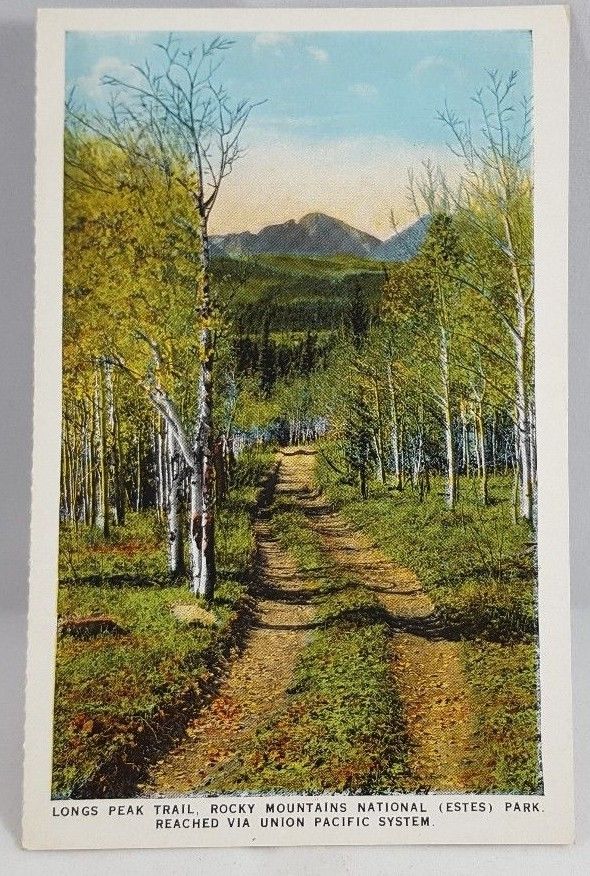 Vintage Postcard Long Peak Trail Rocky Mountains National (Estes) Park 85273 | United States ...