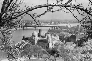 BT6171 Budapest    Hungary