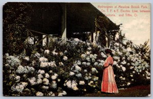 K49/ Tiffin Ohio Postcard Seneca County c1910 Meadowbrook Park 65