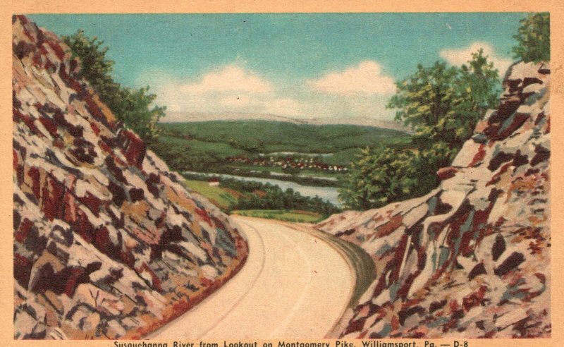 Vintage Postcard Susquehanna River Lookout On Montgomery Pike Williamsport Penna