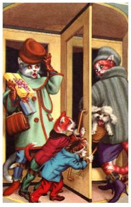 Cats in Dressing Room  Alfred Mainzer no. 4949