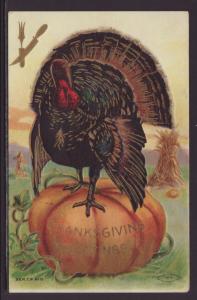 Thanksgiving,Turkey on Pumpkin Postcard