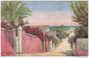 NASSAU, Bahamas, 1900-1910's; West Street