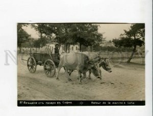 3173304 BULGARIA SOFIA native carriage Vintage photo postcard