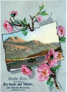 Victorian Trade Card Saehn Bros Brother Chicago IL Illinois Mountain Pink Flower