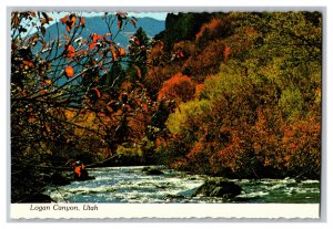 Postcard UT Logan Canyon Utah Continental View Card 