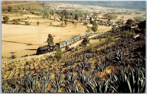 Ferrocarriles Nacionales de Mexico Number 2125 Powering Passenger Train Postcard