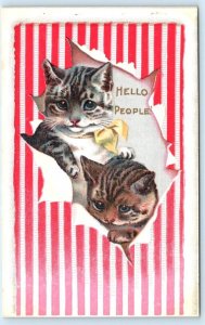 HELLO PEOPLE Embossed CATS ~ KITTENS Popping Out of Wallpaper 1910s Postcard