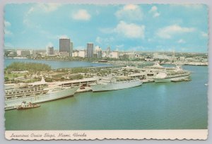Transportation~Miami Florida~Luxurious Cruise Ships Docked~Continental Postcard 