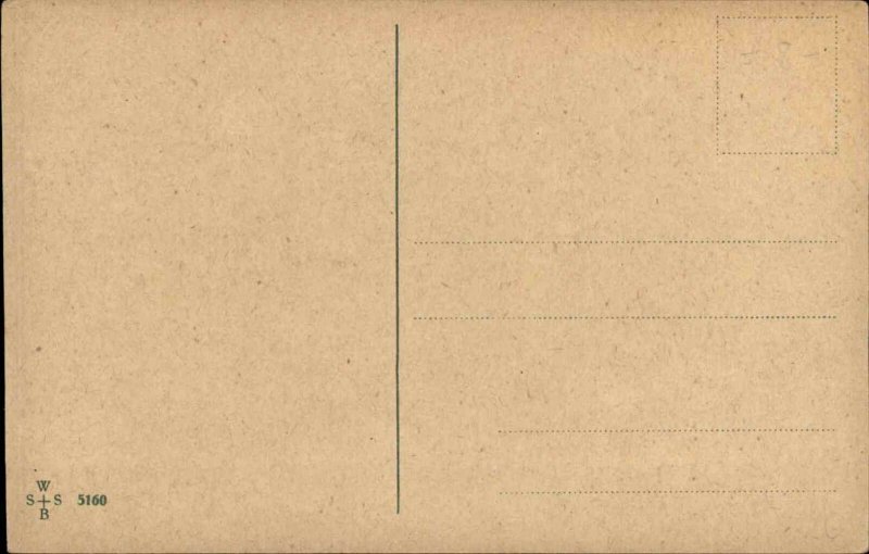 Cute Puppy Dog Watching Bee or Fly on Nose c1910 Postcard 