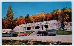 FREDERIC, Michigan MI ~ Roadside UNDERGROUND FOREST 1959 Cool Cars   Postcard