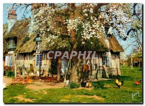 Postcard Modern Colors and Light of France in Vallee d'Auge The Lush Norman E...