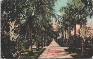 USA Ocean Avenue Palm Beach Florida Vintage Postcard 09.49