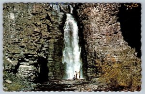 Big Horn Falls In September, Alberta, Vintage Chrome Postcard