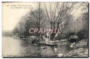 Old Postcard Lyon Park A Corner of the Golden Swans Tete