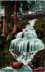 SHASTA SPRINGS, CA     WATERFALL & RUSTIC Bridge    1911   Mitchell   Postcard