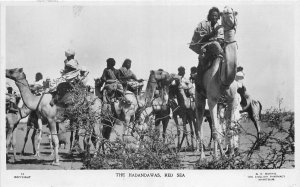 US5336 the hadandawas red sea types folklore sudan africa 