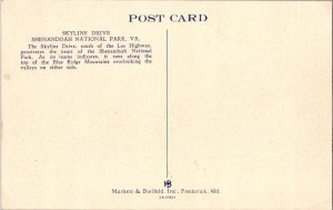 SKYLINE DRIVE, SHENANDOAH NATIONAL PARK, Virginia Vintage Postcard KE2