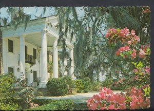 America Postcard - Boone Hall Plantation, Nr Charleston, South Carolina  RR3039