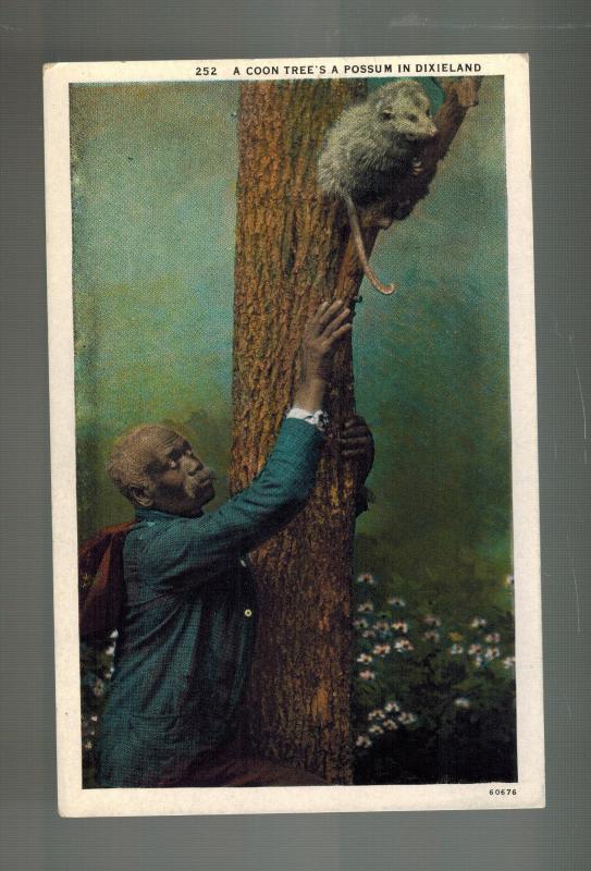 Mint Color Picture Postcard Black Americana Man Treeing Opossum in Dixieland