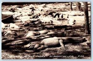 St. Augustine FL Postcard RPPC Photo Alligator Ostrich Farm c1940's Vintage